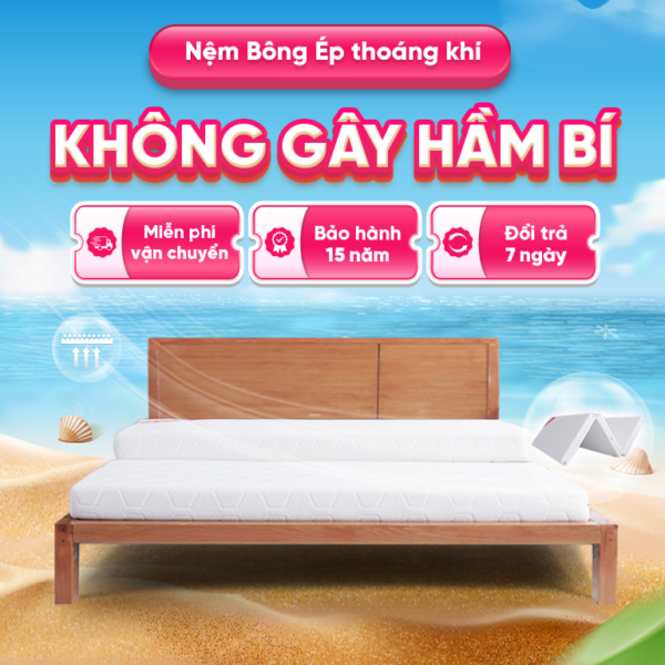 Nệm Ép Bông thoáng khí không gây hầm bí