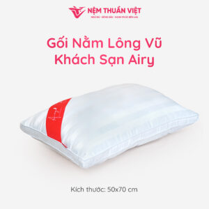 tặng 02 gối lông vũ airy thuần việt