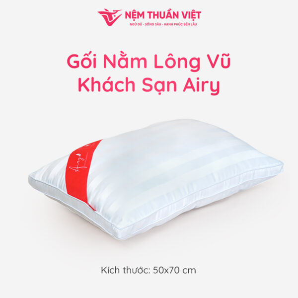 tặng 02 gối lông vũ airy thuần việt