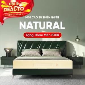 Nệm cao su thiên nhiên nemvietnhat