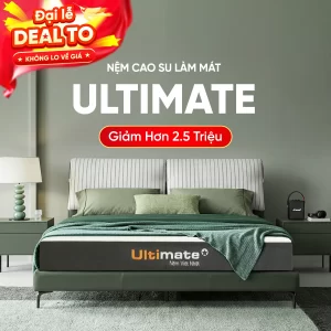 Nệm cao su than hoạt tính