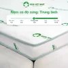 nệm foam gấp 3