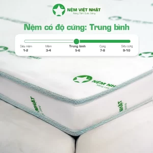 nệm foam gấp 3