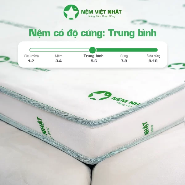 nệm foam gấp 3