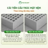 Cấu trúc dome nệm cao su coolax