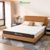 Nệm cao su coolax mô tả 2