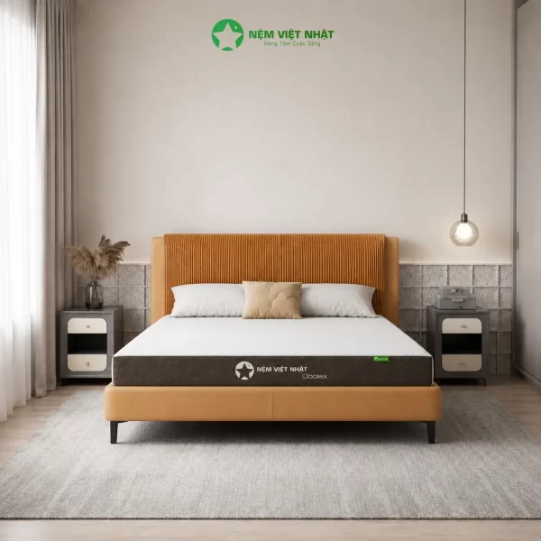 Nệm cao su coolax mô tả 1