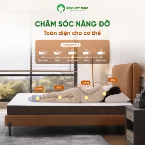 Nệm cao su coolax chăm sóc nâng đỡ