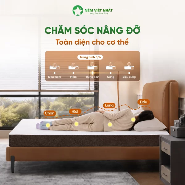 Nệm cao su coolax chăm sóc nâng đỡ