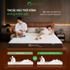 Nệm cao su coolax thoải mái